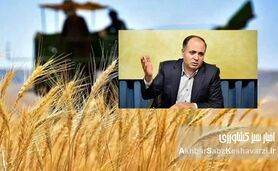 قیمت خرید تضمینی گندم: از ۲۱ هزار تومان دیروز تا ۲۰ هزار و 500 تومان امروز+ ویدئو