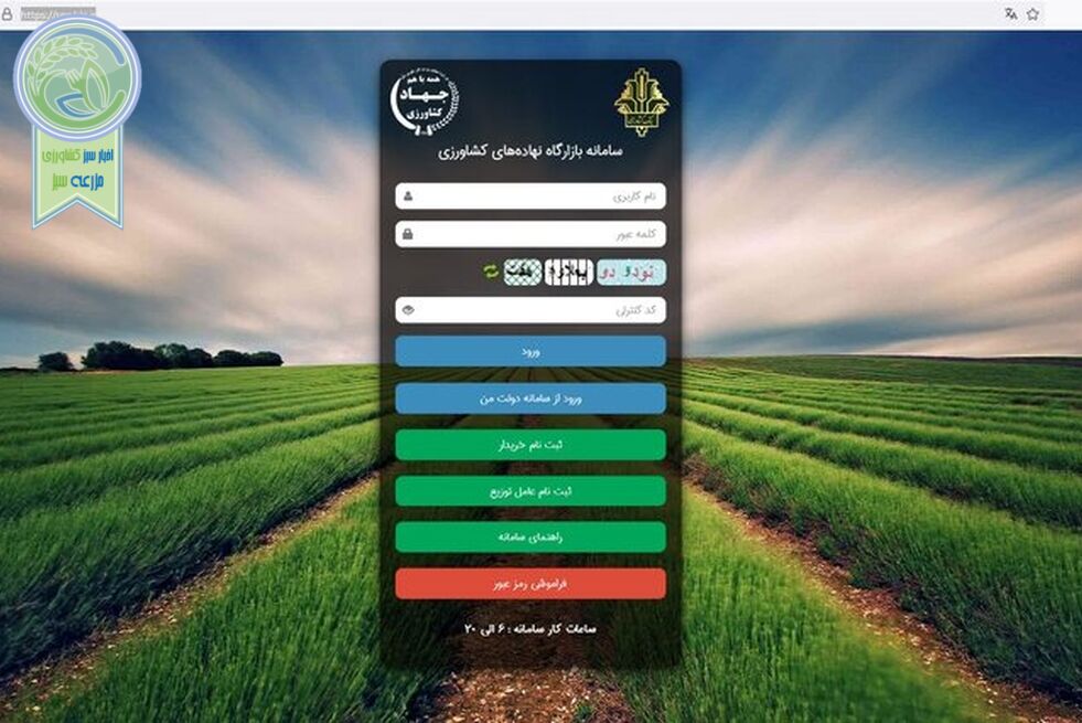 بحران سویاهای سمی در بازارگاه؛ چه کسی پاسخگوی مرگ دسته‌جمعی گاوهاست؟