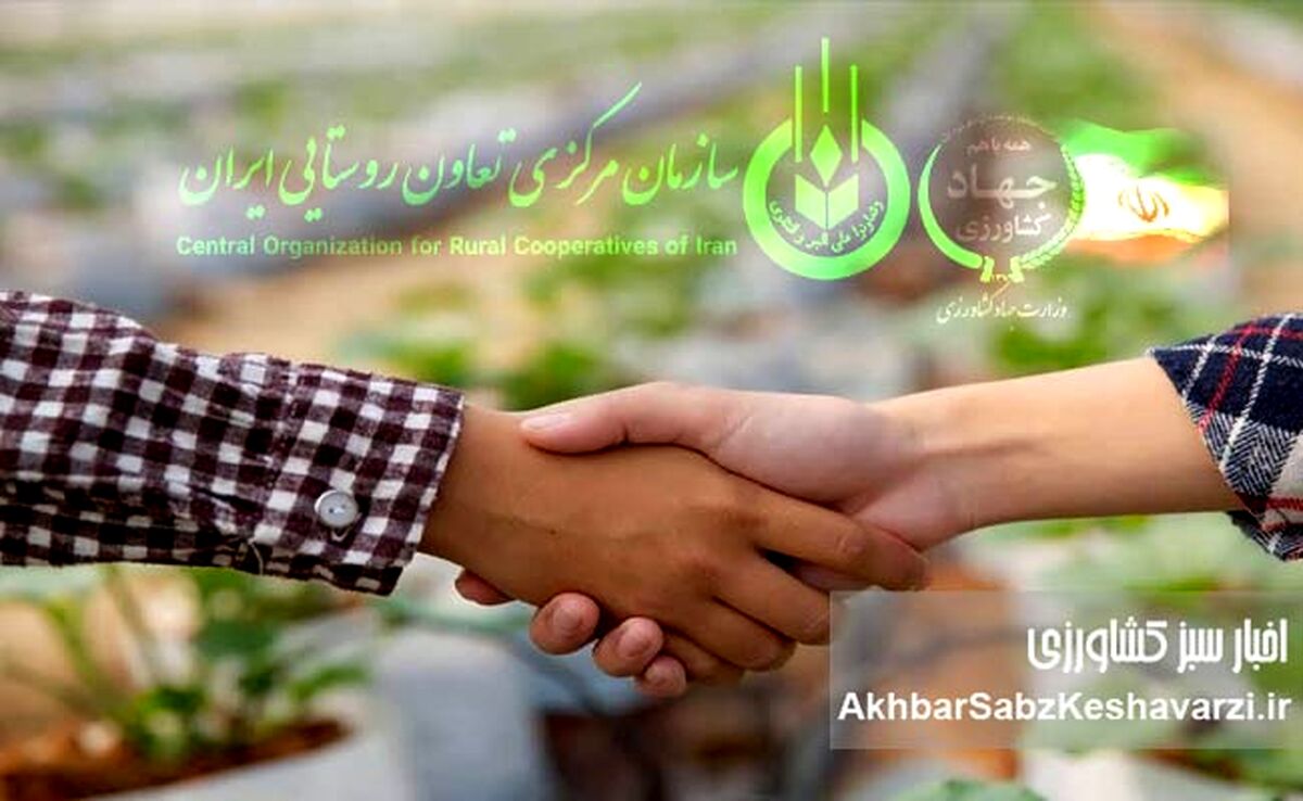 شرکت‌های تعاونی کشاورزی؛ موتور محرک رونق و پایداری در کشاورزی نوین