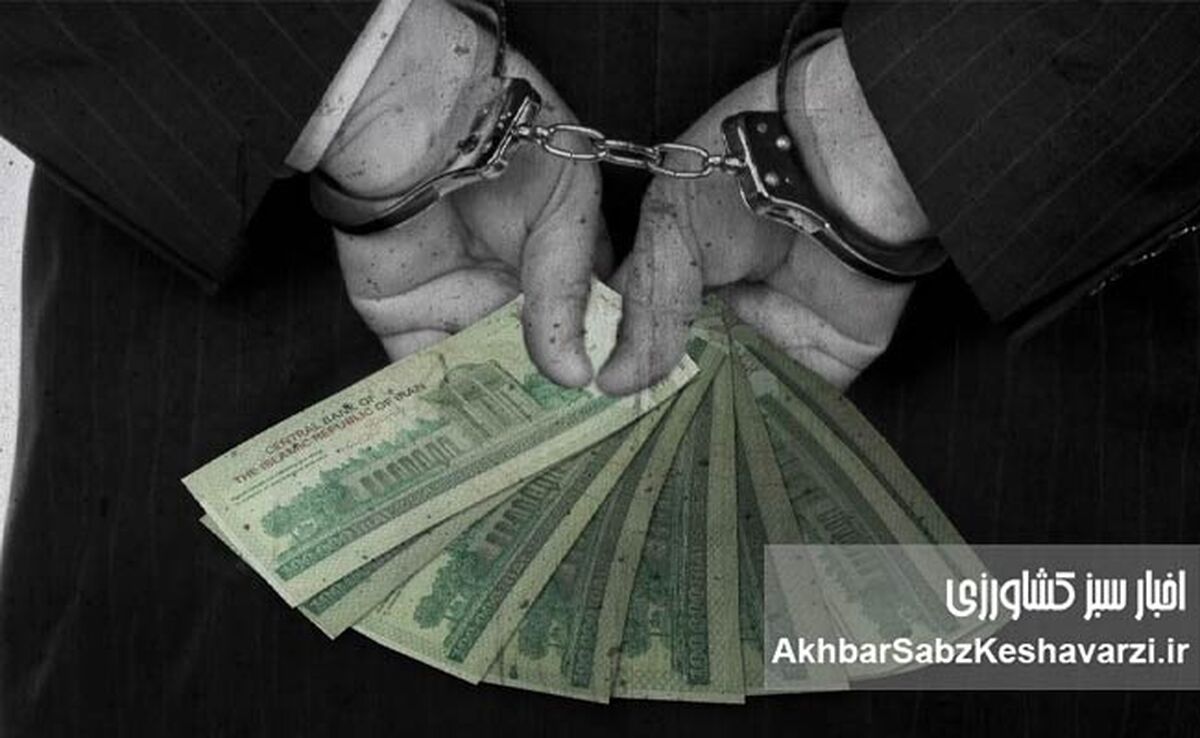 سطح فساد در کشور | از فساد فردی تا سیستمی؛ واقعیت کدام است؟