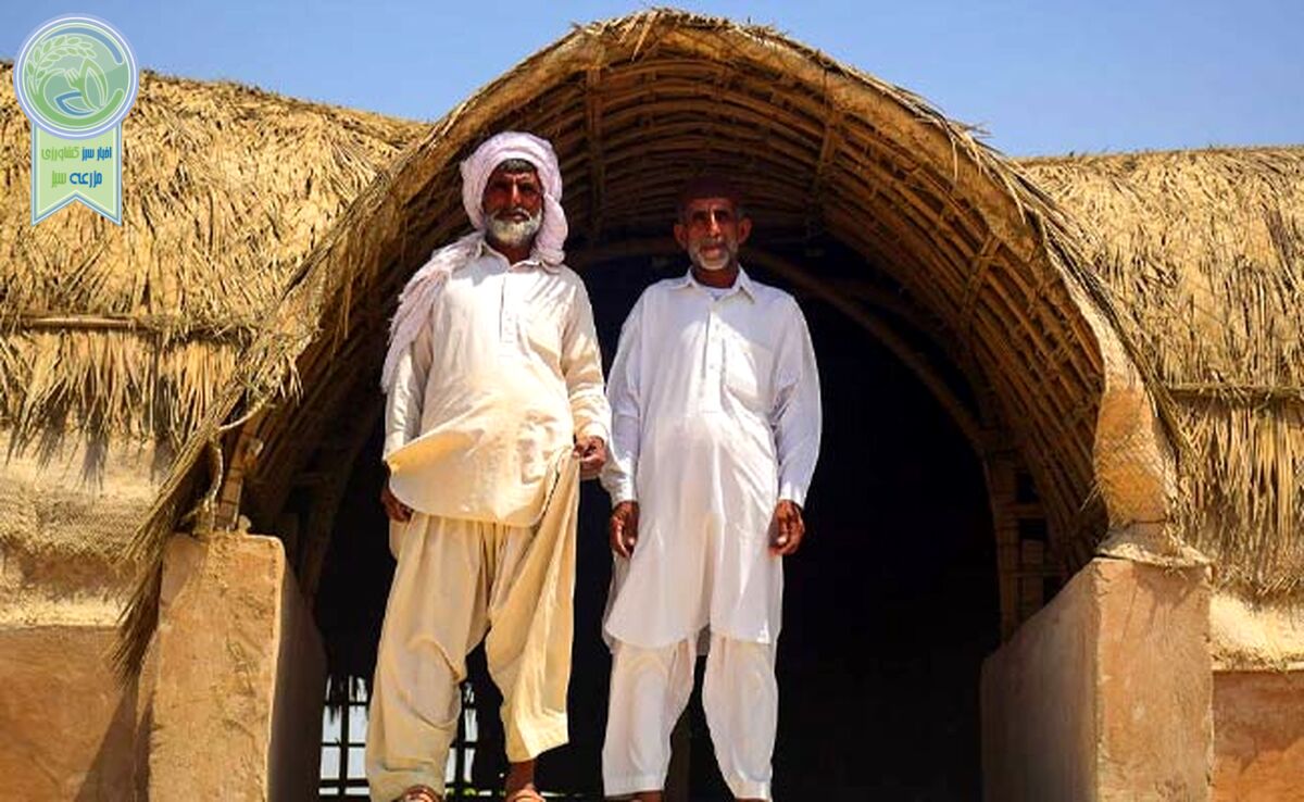 سیستان‌وبلوچستان و دردهای بی‌شمار


