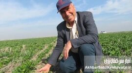 بهبود بهره‌وری اراضی دیم ایران با استفاده از سامانه بی‌خاک‌ورزی