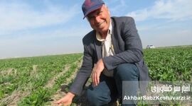 بهبود بهره‌وری اراضی دیم ایران با استفاده از سامانه بی‌خاک‌ورزی