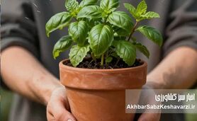 وقتی دست‌های خاکی، ذهن را پاک می‌کنند