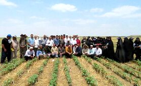 برگزاری کارگاه آموزشی کشاورزی حفاظتی برای کشاورزان اصفهانی

