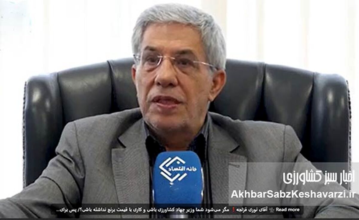 «به ما ربطی ندارد مردم برنج بخرند یا نخرند!»؛ انتقاد تند یک مقام بازرگانی از وزیر جهاد کشاورزی+ویدئو