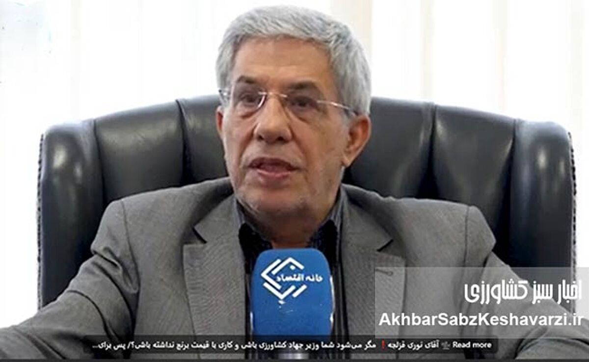 «به ما ربطی ندارد مردم برنج بخرند یا نخرند!»؛ انتقاد تند یک مقام بازرگانی از وزیر جهاد کشاورزی+ویدئو