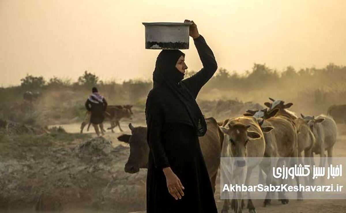 بی‌آبی خوزستان؛ زنان و کودکان در صف آب زیر گرمای ۵۰ درجه