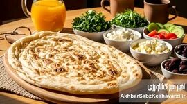 کبد چرب دارید؟ این نان‌ها را بخورید، این‌ها را نه!

