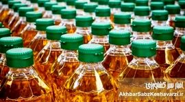 روغن کمیاب شد؛ قیمت روغن ۱۷ کیلویی چرا تا ۲ برابر جهش کرد؟