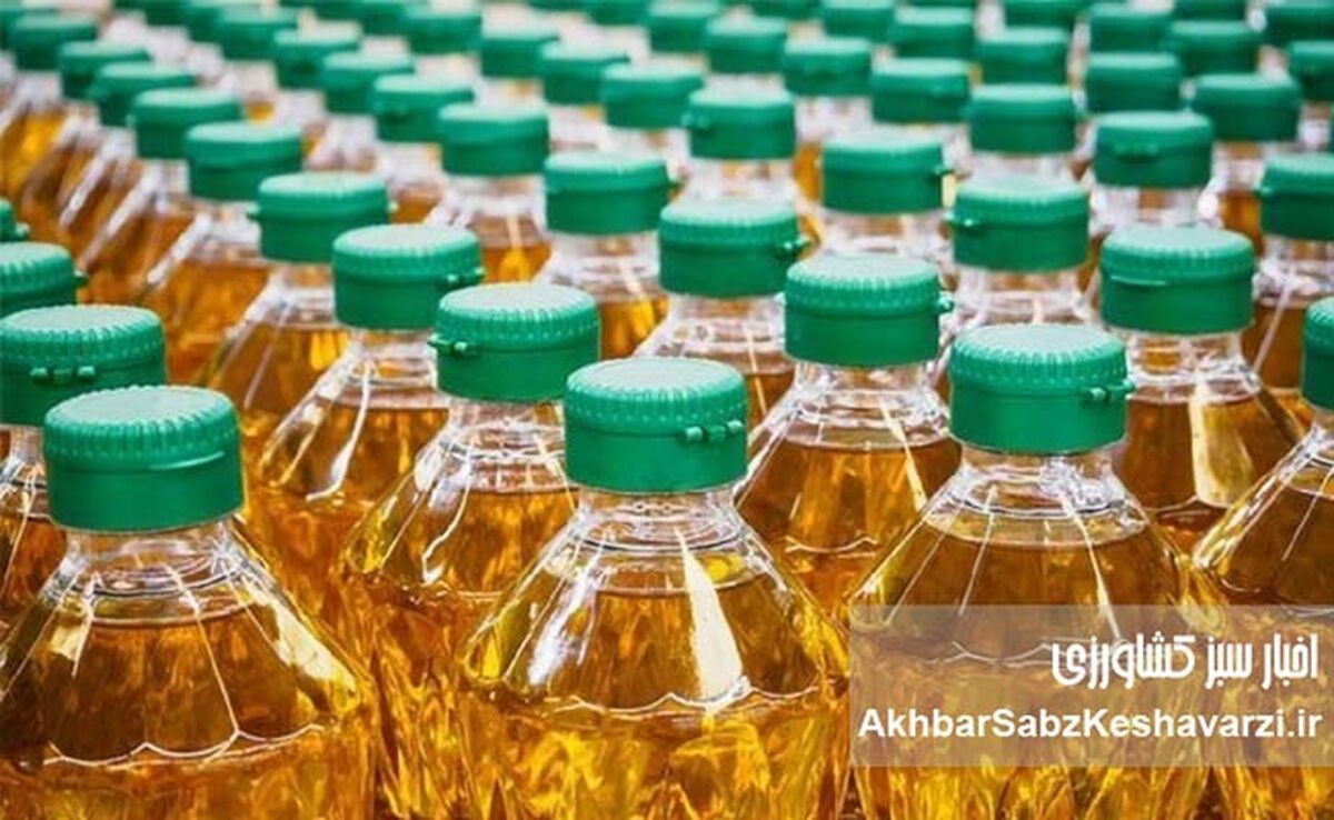 روغن کمیاب شد؛ قیمت روغن ۱۷ کیلویی چرا تا ۲ برابر جهش کرد؟