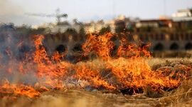 آتش‌سوزی گسترده در رودخانه زاینده‌رود+ ویدئو

