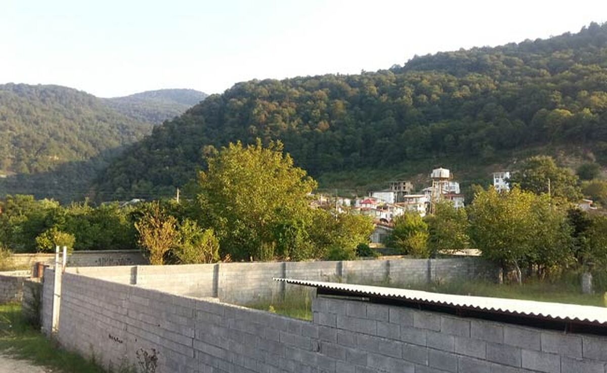 فروش زمین عالی در شمال
