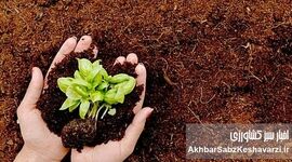 بهترین خاک برای گیاهان گلخانه‌ای