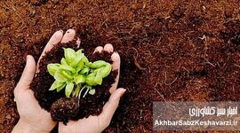 بهترین خاک برای گیاهان گلخانه‌ای