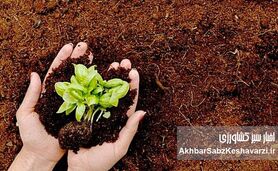 بهترین خاک برای گیاهان گلخانه‌ای