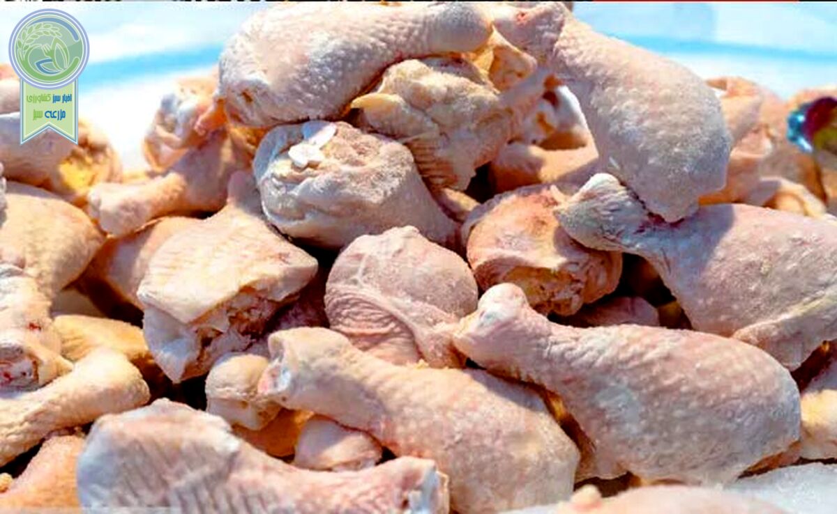 مرغ گرم ارزان شد

