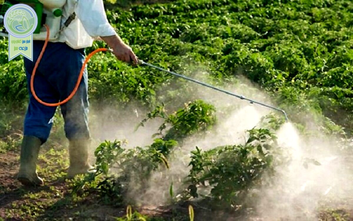 اختصاص ارز فقط برای واردات سم و کود آماده مصرف و مشابه تولید داخلی+ویدئو

