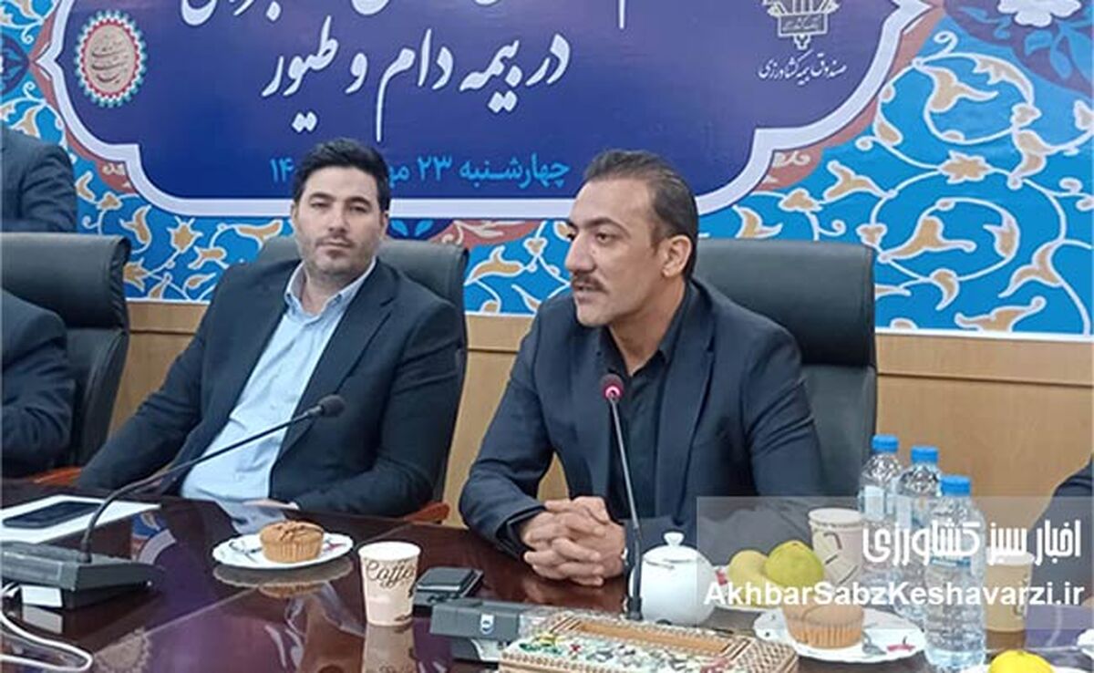 تحول در صنعت مرغ تخم‌گذار ایران؛ از وابستگی تا خودکفایی مالی با بیمه کشاورزی