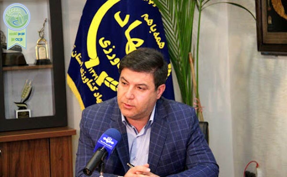 چرایی انتصاب علی‌اشرف منصوری برای موسسه جهاد نصر

