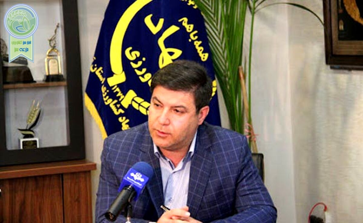 چرایی انتصاب علی‌اشرف منصوری برای موسسه جهاد نصر

