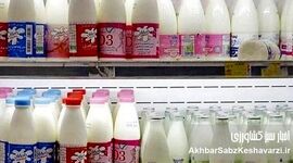 گرانی لبنیات از قبل هشدار داده شده بود؛ چه کسی پاسخگوست؟