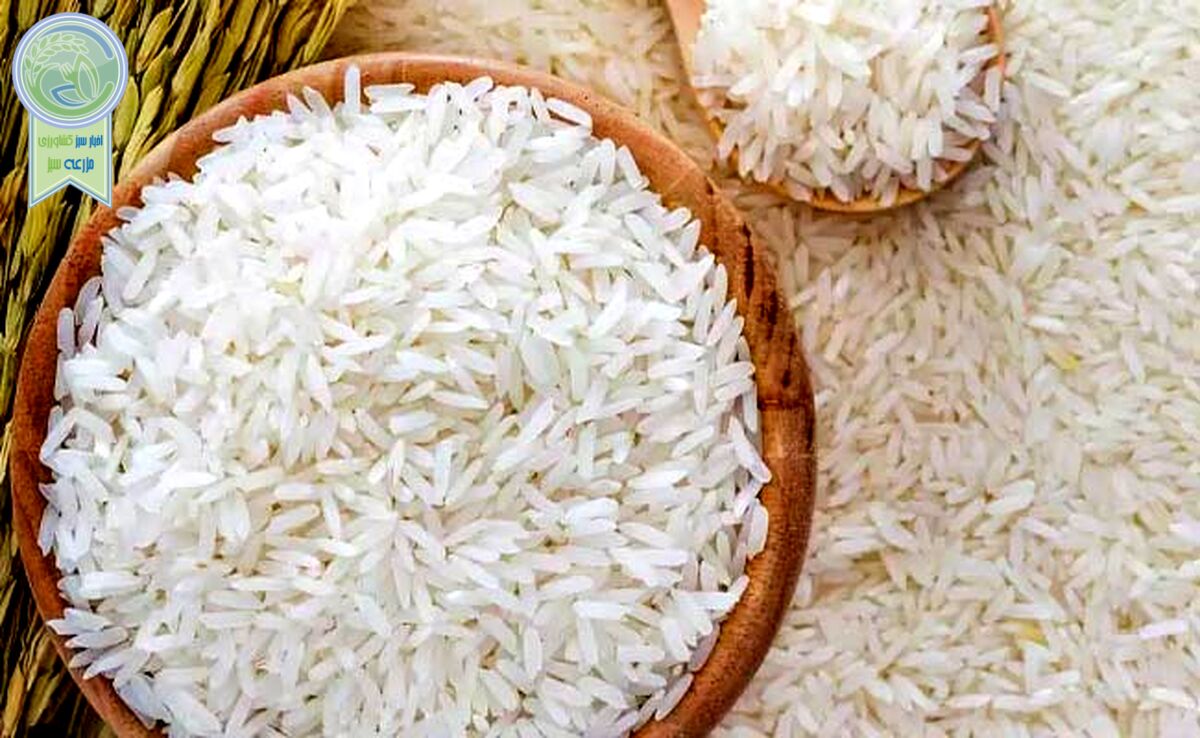 هر کیلو برنج ایرانی و خارجی در بازار چند؟

