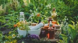 تنوع گیاهی ایران پیشران صادرات محصولات ارگانیک در خاورمیانه