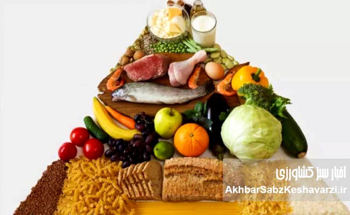 تغذیه سالم: آیا واقعاً به مکمل‌ها نیاز دارید؟ بشقاب‌تان را اصلاح کنید!