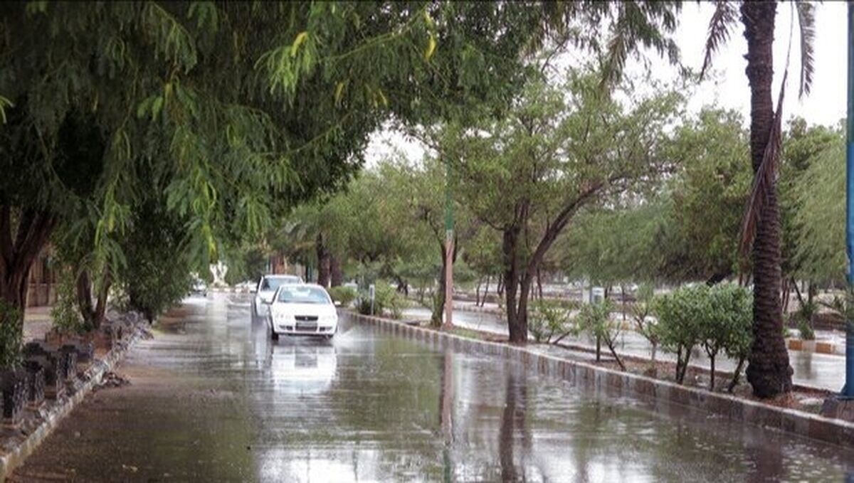 هشدار هواشناسی نسبت به رگبار شدید باران و وزش باد در چند استان
