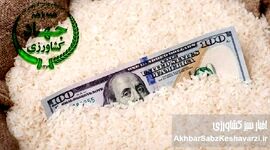 امنیت غذایی کشور دچار چالش شده است؛ مواظب نفوذی ها باشیم+ نامه