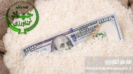 امنیت غذایی کشور دچار چالش شده است؛ مواظب نفوذی ها باشیم+ نامه