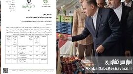 هدیه ۵۰ درصدی وزارت جهاد کشاورزی به صادرکنندگان؛ چراغ سبز به فرار ارزی؟+نامه