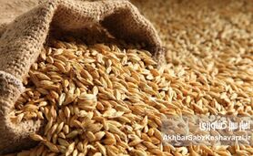 تامین و توزیع نهاده ها اما،بازار مرغ و تخم مرغ در وضعیت شکننده