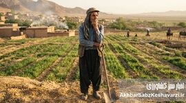 گزارش سازمان ملل در روز جهانی توسعه روستایی ۲۰۲۶