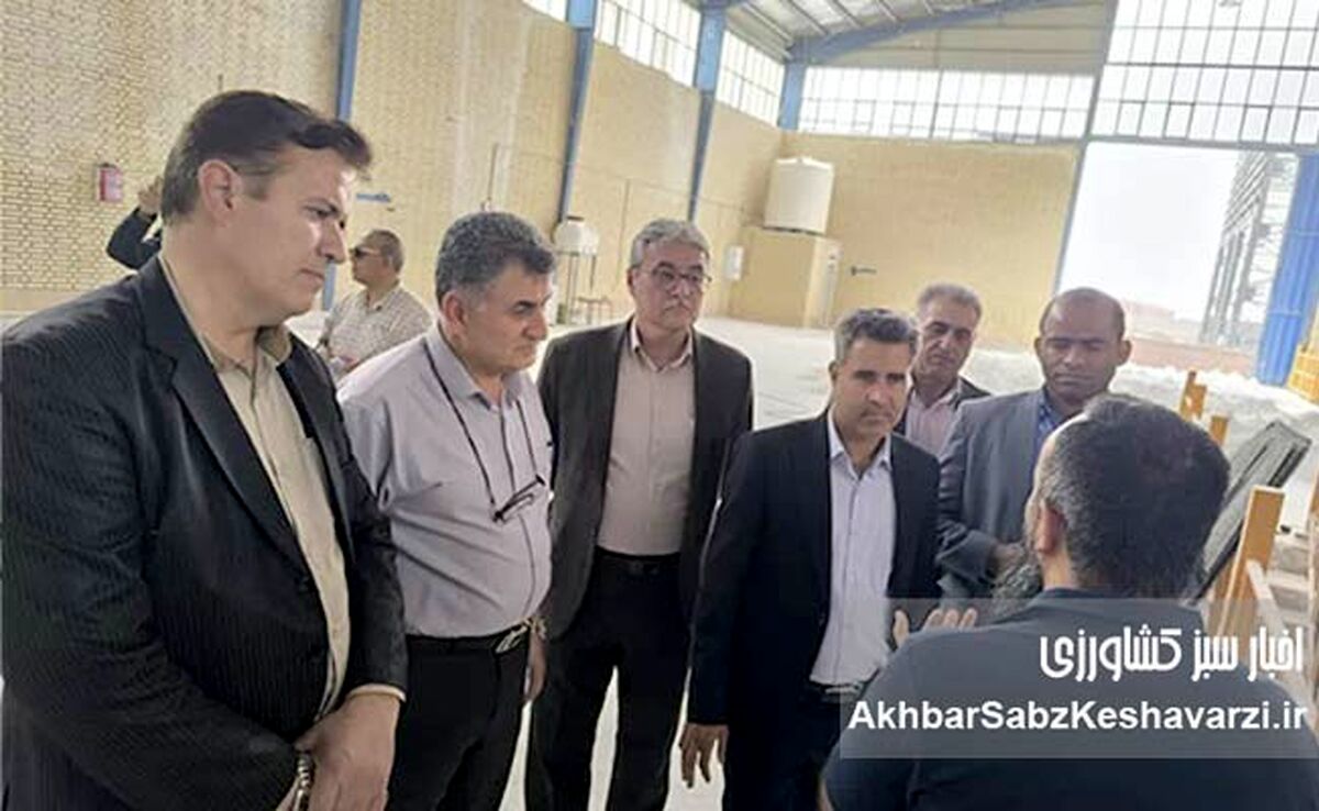 بازدید معاون آزمایشگاه موسسه خاک و آب از کارخانه و آزمایشگاه کیمیای سبز رفسنجان