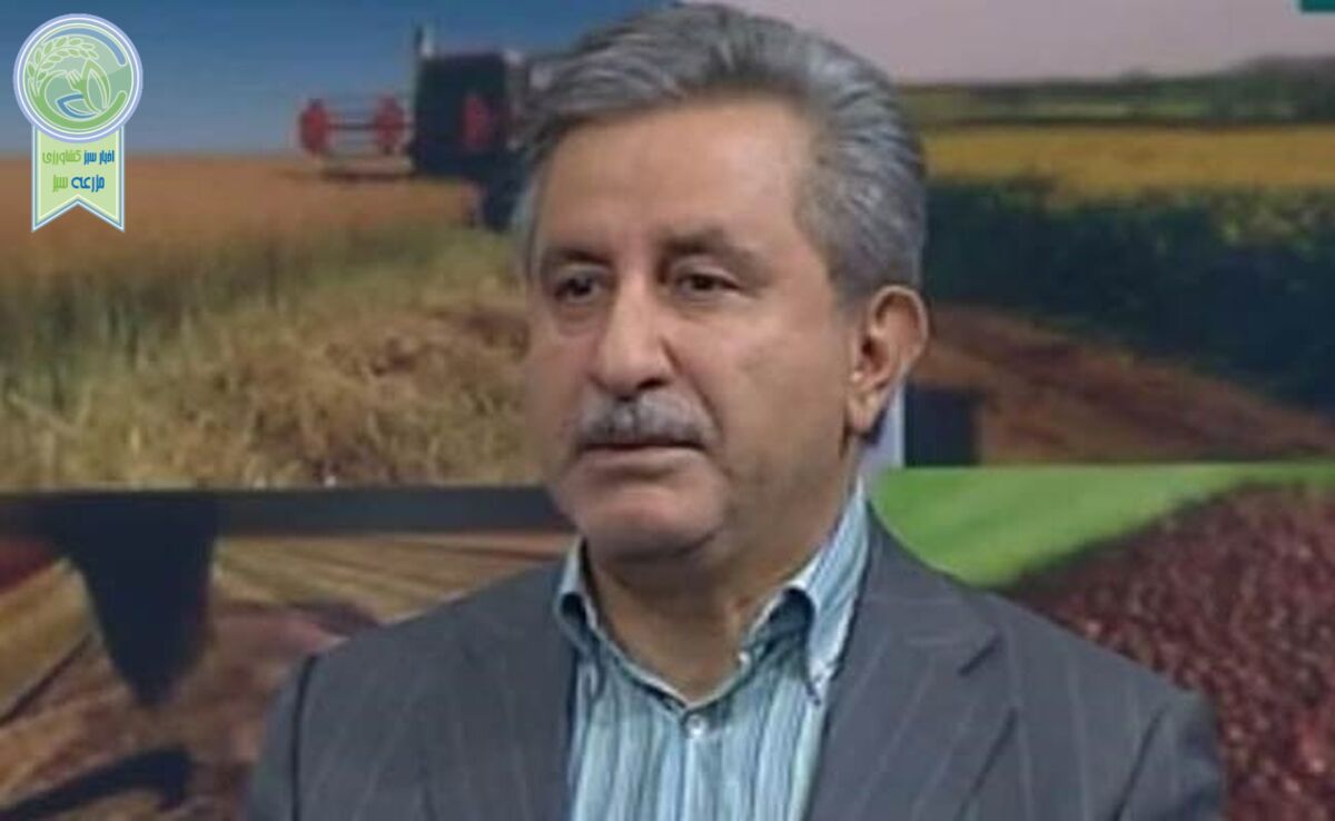 برنامه دولت سیزدهم برای دستیابی به خودکفایی در تولید گندم

