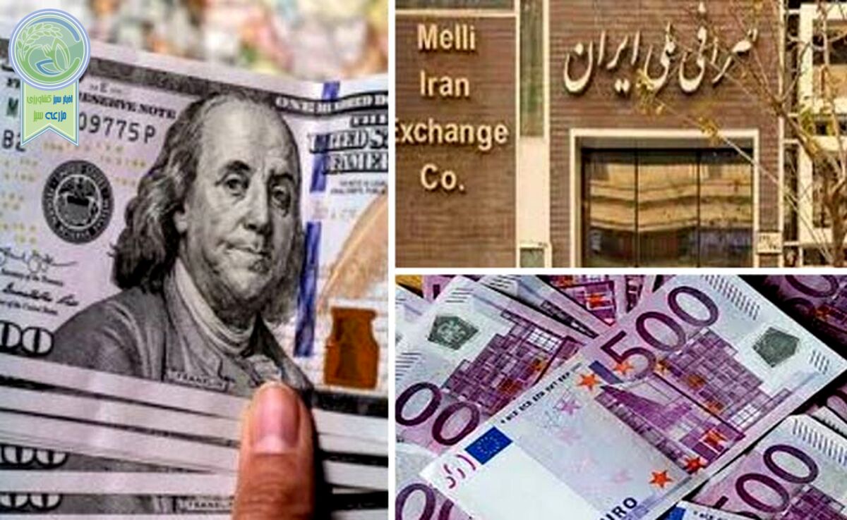 قیمت دلار و یورو در صرافی ملی امروز سه‌شنبه ۱ خرداد ۱۴۰۳

