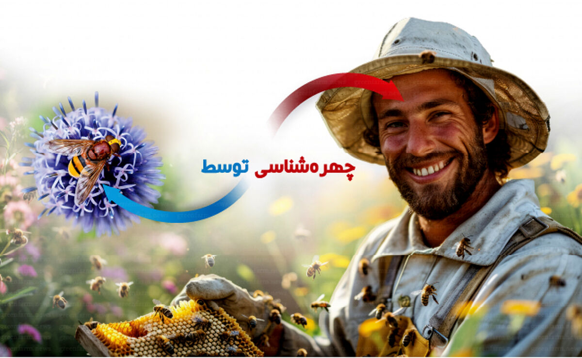چهره‌شناسی توسط زنبورعسل