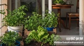 از چند مشت خاک در بالکن تا سبزی روزانه روی سفره خانواده