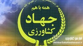 انحرافات ارزی در جهاد کشاورزی: وقتی پای نهاده‌های دامی در میان است!
