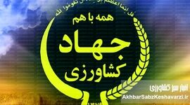انحرافات ارزی در جهاد کشاورزی: وقتی پای نهاده‌های دامی در میان است!