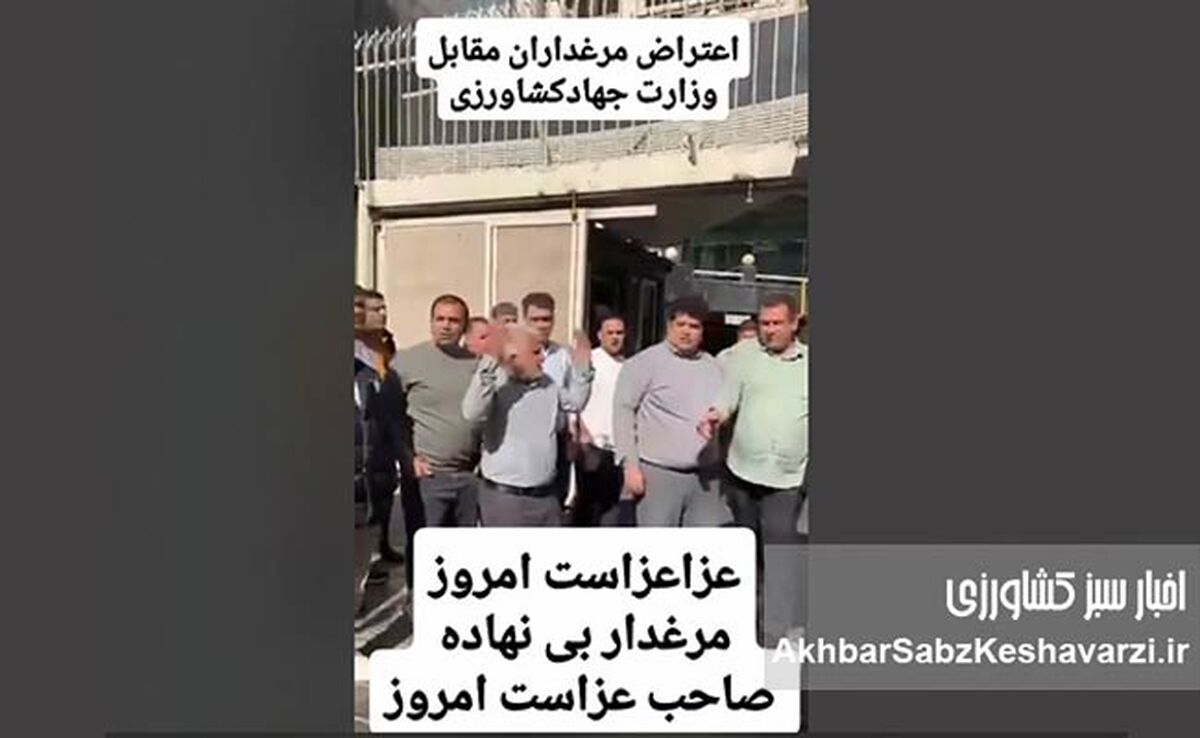 فریاد مرغداران بی‌نهاده؛ روز عزای صنعت طیور ایران+ ویدئو