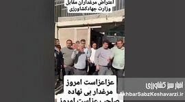 فریاد مرغداران بی‌نهاده؛ روز عزای صنعت طیور ایران+ ویدئو