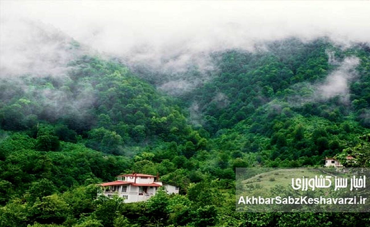 زیبایی شمال ایران در یک کلیپ تصویری: روایتی از زندگی و موسیقی محلی
