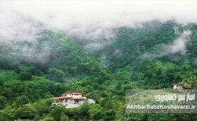 زیبایی شمال ایران در یک کلیپ تصویری: روایتی از زندگی و موسیقی محلی
