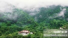 زیبایی شمال ایران در یک کلیپ تصویری: روایتی از زندگی و موسیقی محلی

