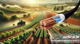 اهمیت سیم و کابل باکیفیت در کشاورزی؛ یک انتخاب، هزاران نتیجه