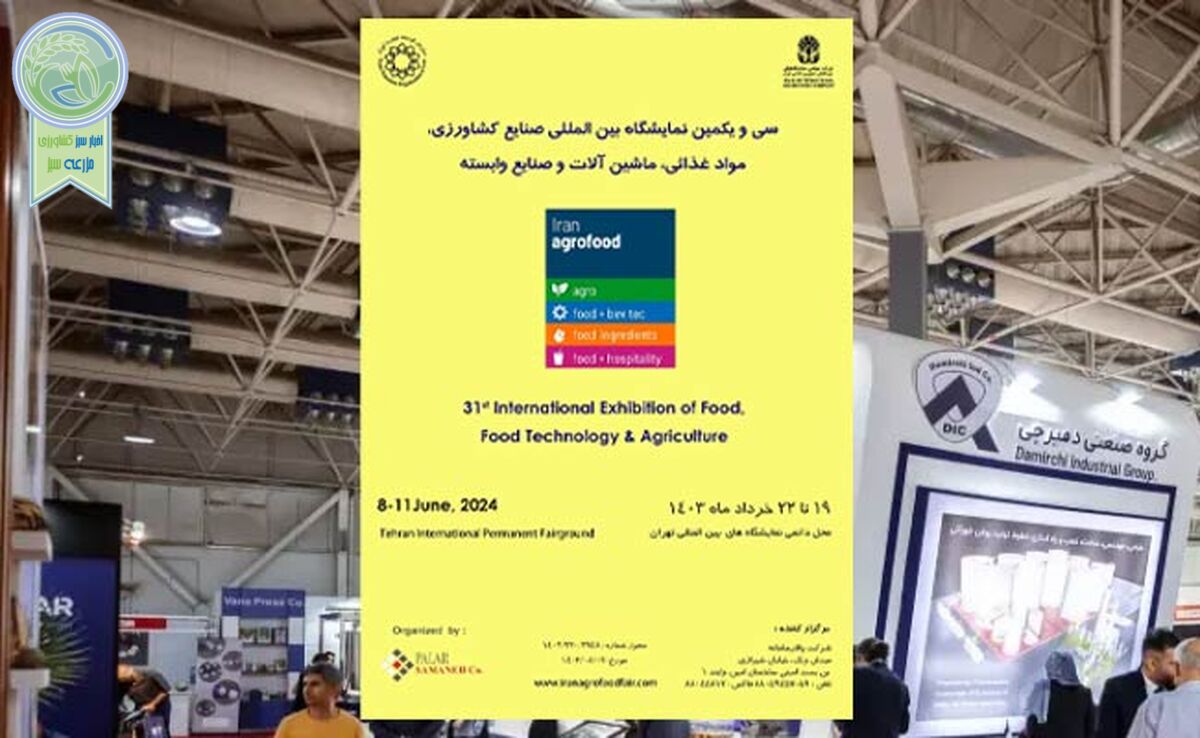 به استقبال اگروفود سی و یکم

