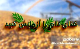 غذای دام را آزمایش کنید؛ تصمیمی ساده با سودی بزرگ